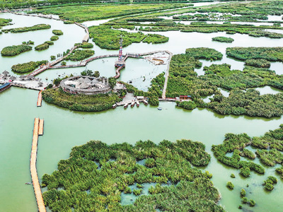 塞上江南写新篇