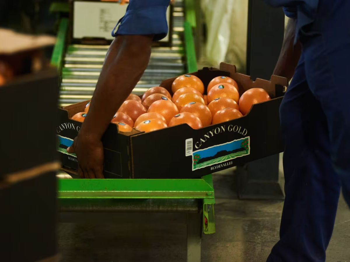 南非将中国作为农产品的主要目标市场