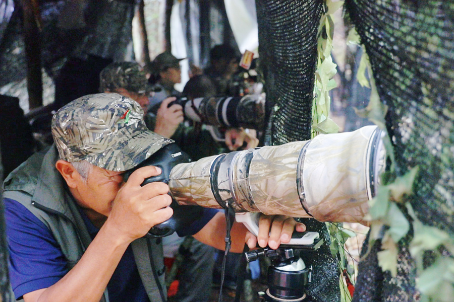 发布福建首份“护鸟令”的山区县，如何接住前所未有的“富贵”？