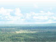 “新机会不断涌现，带来广阔发展空间”（侨界关注）