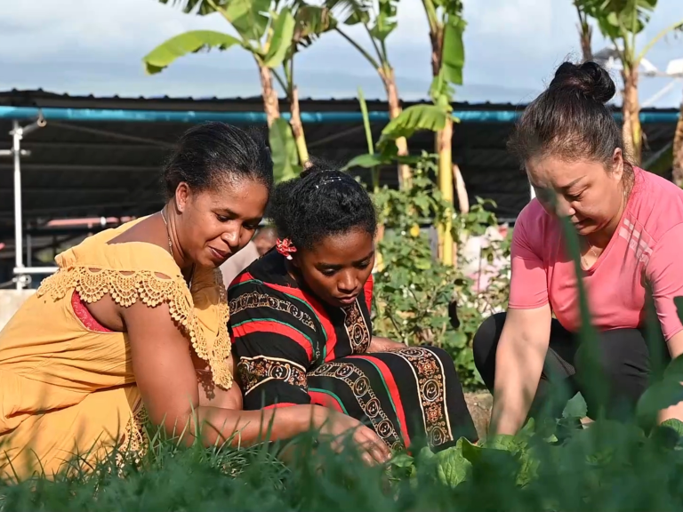中非合作论坛｜中国厨师与非洲“学徒”的故事