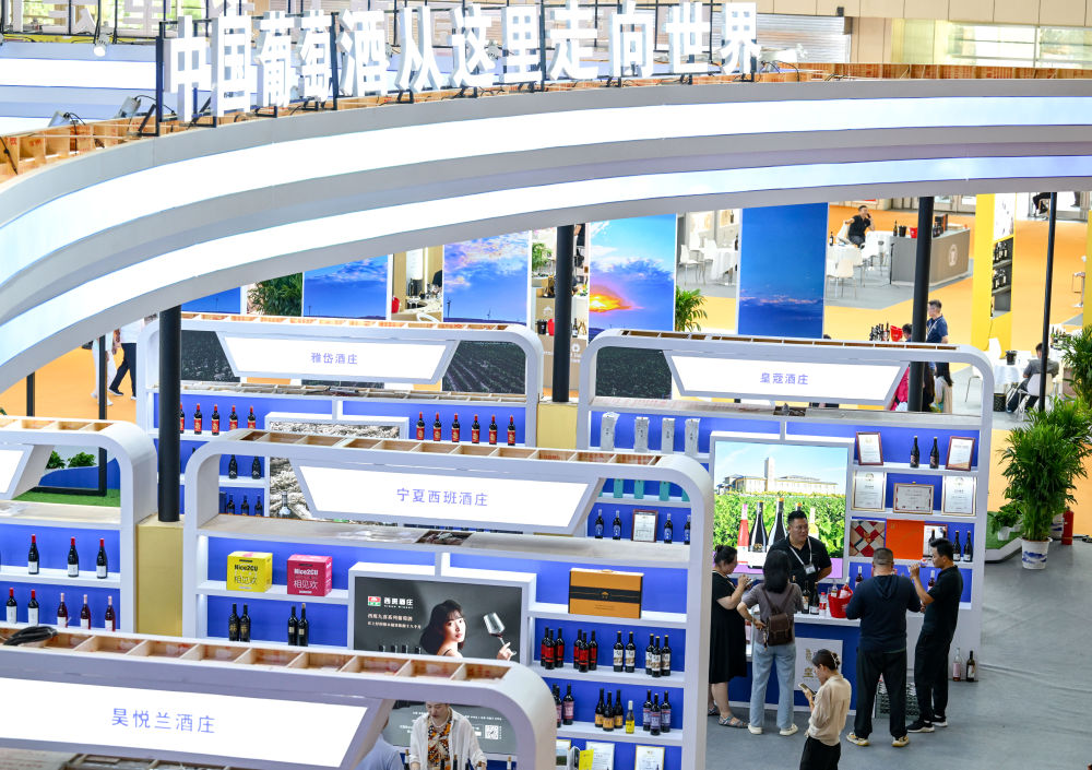 解码文化自信的城市样本｜塞上明珠今更殊——解码古城银川的文化自信样本