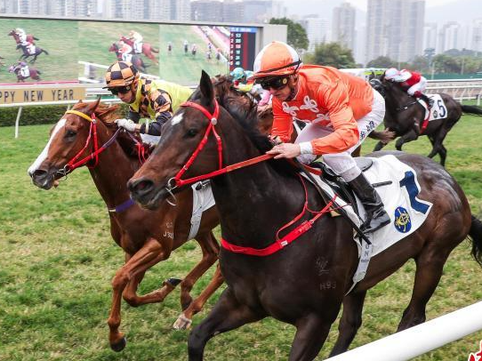 香港举办赛马日活动迎新年 吸引逾4万人入场