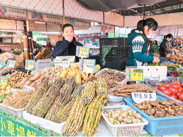 云南好山水 化育好药材（道地药材巡礼·云南篇）