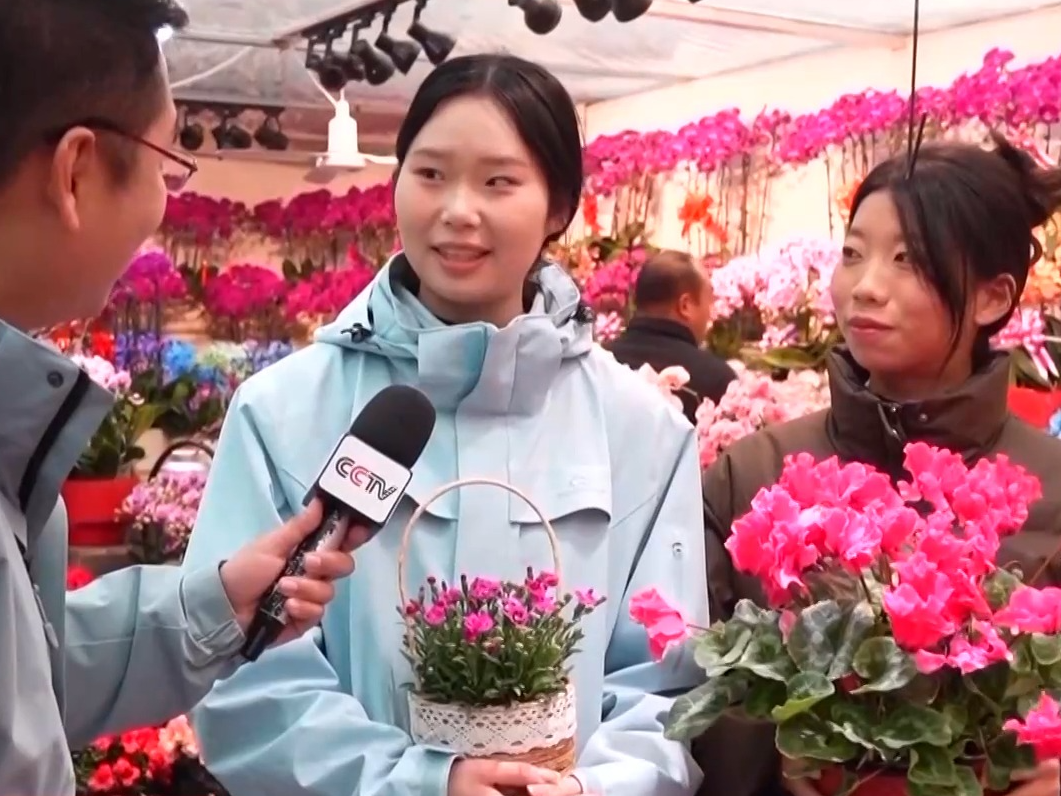 今年春节怎么过？走进大街小巷感受浓浓年味