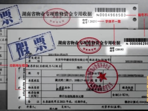 【侠客岛丨解局】今年的反腐大片，为啥关注“拍苍蝇”？