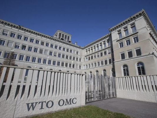 海外网评：世贸成立三十载，开放中国与“世”同行