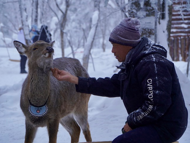 寻迹长白山脉的“冰雪走廊”