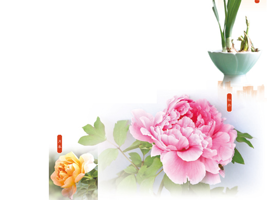 花开四时 城城有景（一朵花读懂一座城·特别策划）