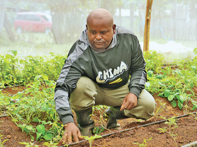 中肯合作助力肯尼亚加快发展步伐（新时代中非合作）
