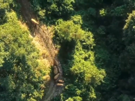 文耀中华｜第十集《融通中外》