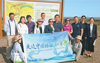 “库布其治沙经验值得我们学习”