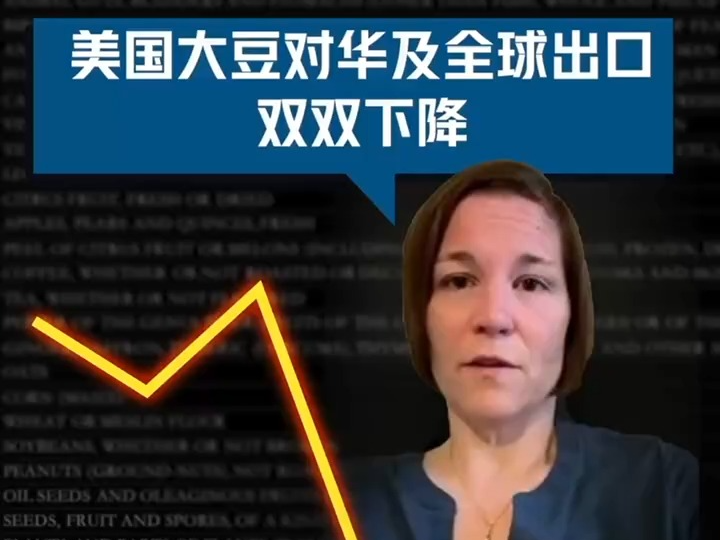 玉渊谭天丨“我们的豆子该卖给谁？”美国大豆出口下降苦了豆农