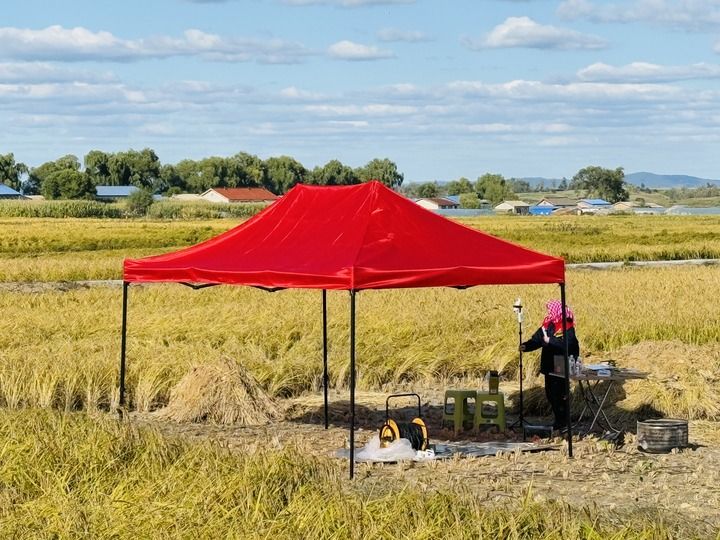 【学习+】“建设没有饥饿贫困的世界”