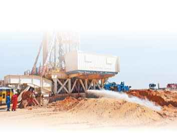 在埃及荒漠中浇灌发展绿洲（共创繁荣发展新时代）