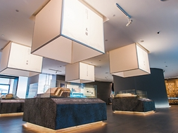 从“郊区小馆”到观众云集（你所不知道的一级馆）