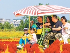 秋日中国铺展美丽画卷