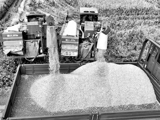 科技赋能，守护大国粮仓