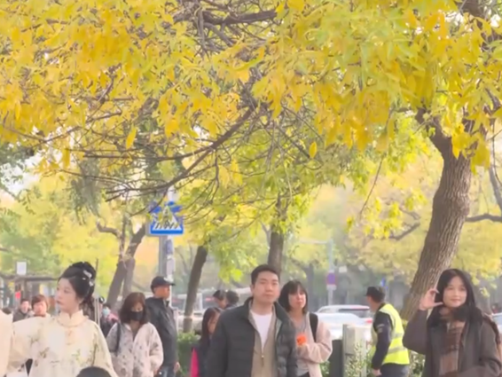 多场景联动打造“赏秋游”沉浸式新体验 “秋日经济”带火文旅消费新实践