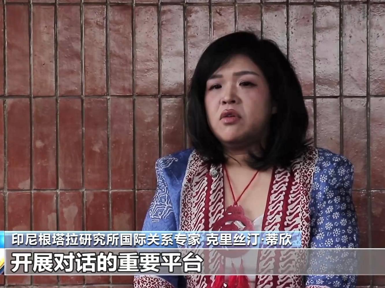 视频丨多国专家：中国持续为亚太地区发展注入新动力