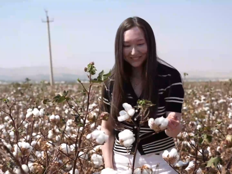 全球连线丨中塔农业合作：在小小棉花里找到通向幸福的路