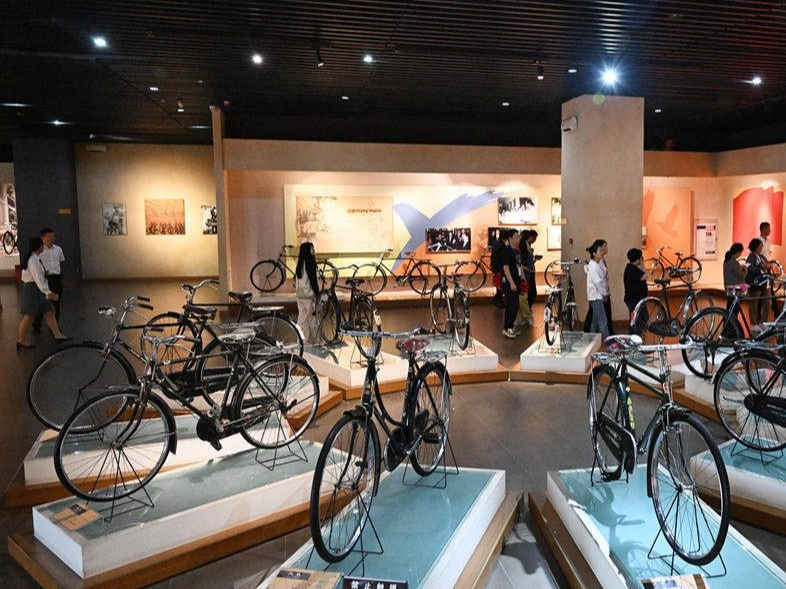 假期不宅家丨博物馆里有什么？这些神奇“宝藏”，等你探秘→