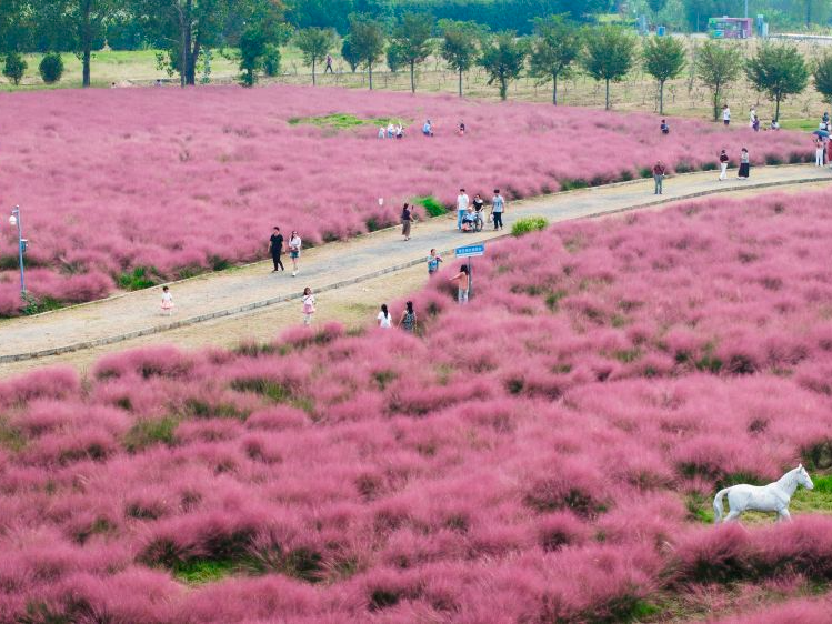 假日中国活力足