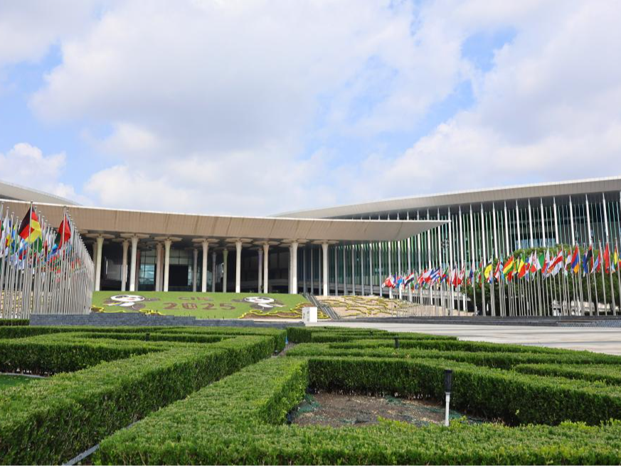 人工智能驱动 绿色低碳领航——第八届进博会将成为观察全球产业升级新窗口