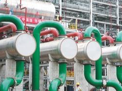 侨力涌动中东 共拓合作新蓝海（侨界关注）