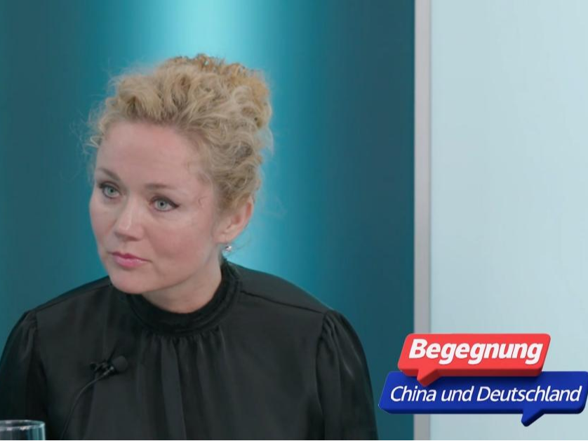 欧洲和拉美多国人士积极评价中国未来五年发展新蓝图