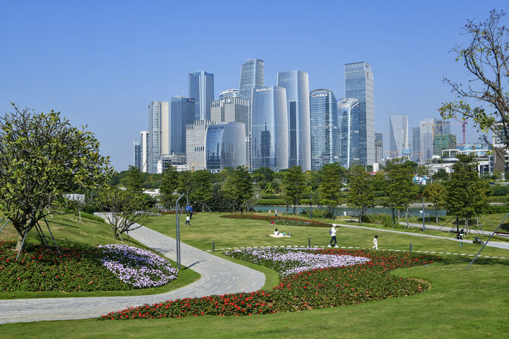 共赴深圳之约 共创美好明天——国际社会热切期待亚太经合组织“中国年”