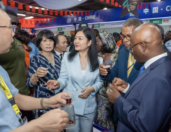 西非最大博览会迎来中国“主宾国”——湖南代表团集结亮相，深化对非经贸合作
