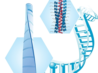“造小”的艺术，用分子构筑新材料（国际科技前沿）