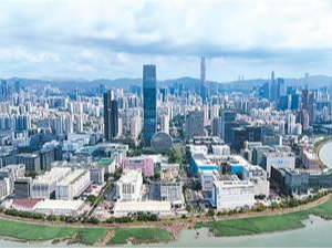 同心同行，共建一流湾区（2025·年终特稿）