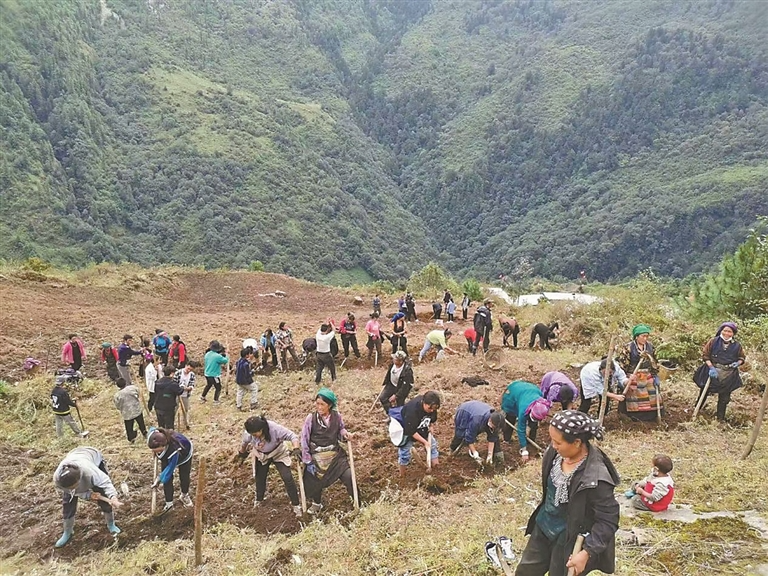 茶香弥漫，百姓笑了！