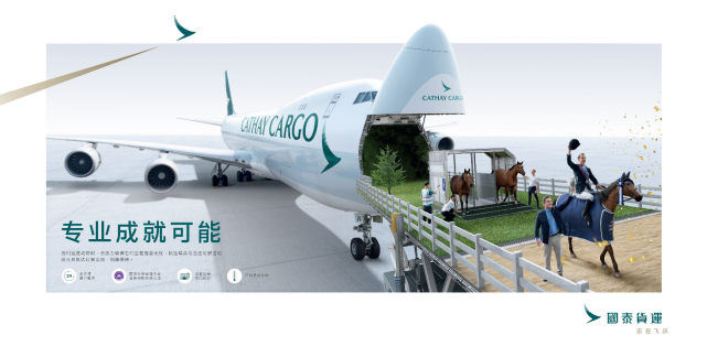 香港国际马术盛典举办在即  70匹欧洲顶级赛马空运抵港