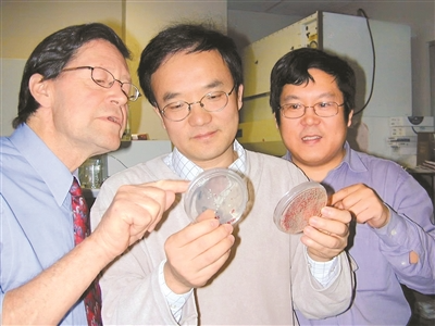 我在浦东做新药（千行百业看海归）