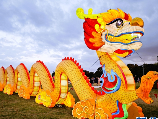 “吉祥蛇灯”闪耀奥克兰元宵灯节