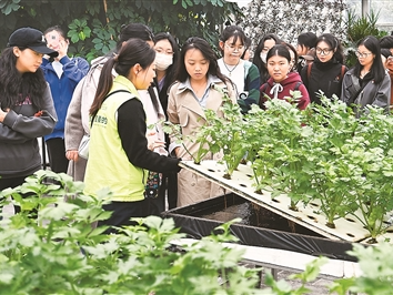 打造数字经济合作的“上合”样板（环球热点）