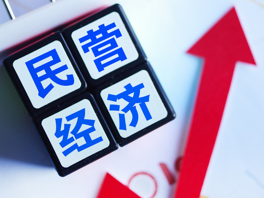 外媒：中国将出台举措促进民营经济发展