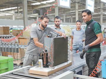 “埃中经济合作的亮丽名片”（见证·中国机遇）