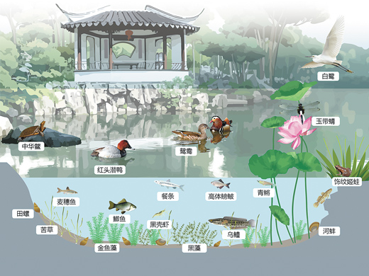 苏州园林，何以展现生态意境？（世界遗产中的生态观照）