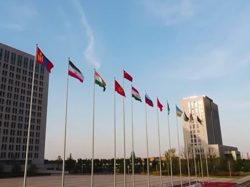 蓝厅观察·聚焦上海合作组织“中国年”丨全力推进峰会筹备