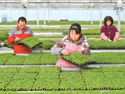 健全推进乡村全面振兴长效机制（锐财经）