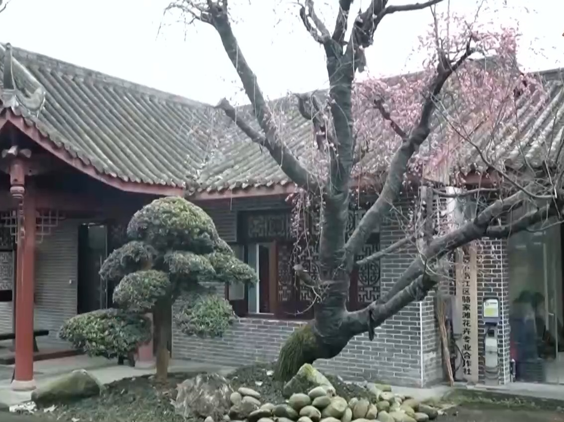 履职一年间丨“让更多人看到村里有啥” 关于数字乡村建设 她说了句大白话