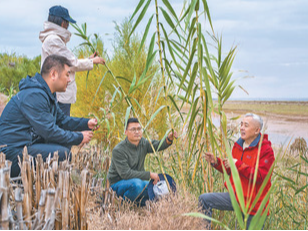 与沙漠“交手” 为治沙“开方”（自然之子）