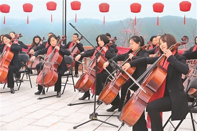 闽台乡亲迎春赏樱共话乡情