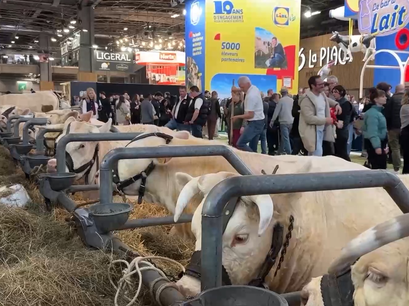 中国馆亮相法国农博会 参观者对中国食品赞不绝口