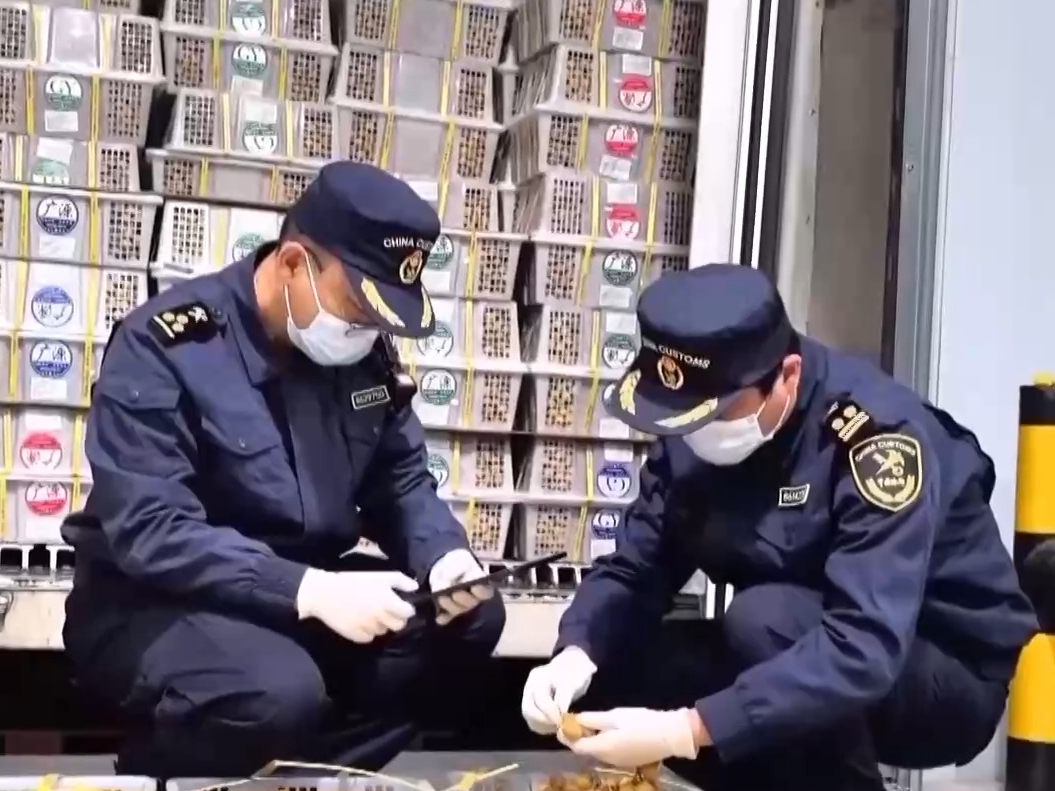 水果、高端装备、文创“好货”发全球 跨境运输持续繁忙