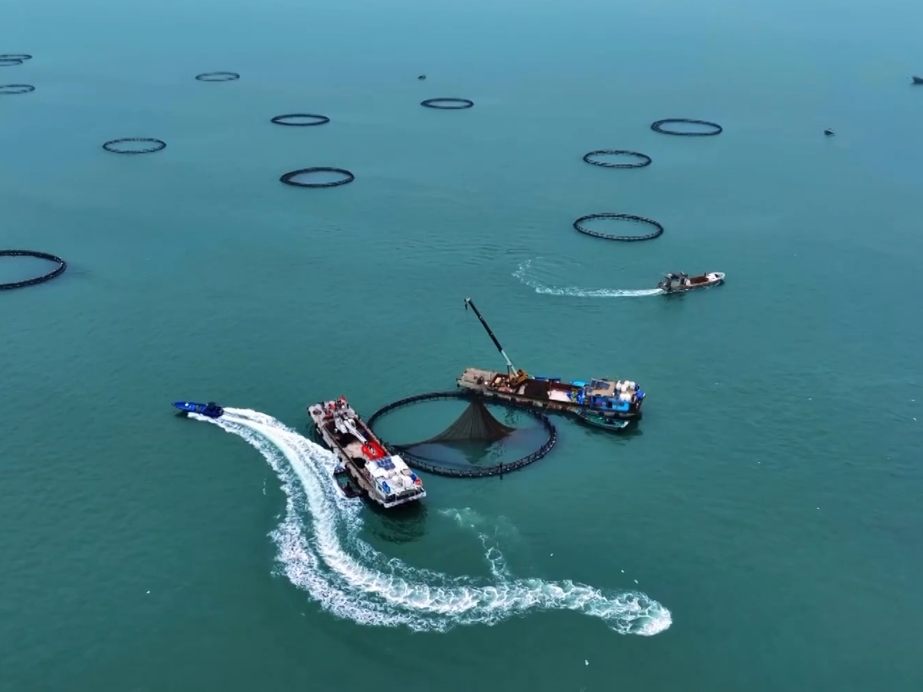 世界看两会丨国际人士：中国发展惠及世界 期待两会带来更多机遇